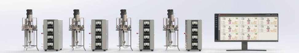 The “Magic Code” of Bioreactor Dissolved Oxygen (DO) Control
